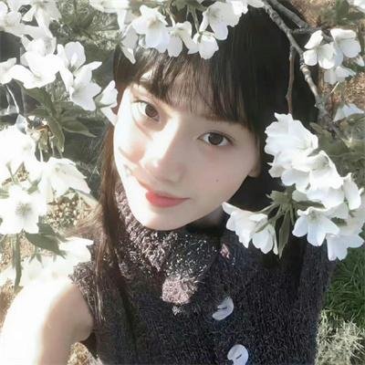 哈莉·奎茵第二季